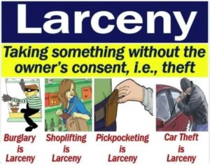 petit larceny