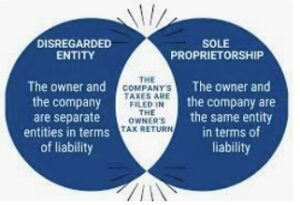 Disregarded Entity LLC